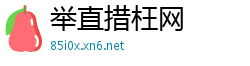 举直措枉网